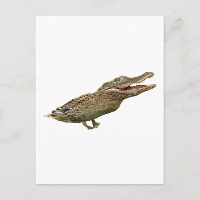 Die Krokodile Postkarte (Vorderseite)