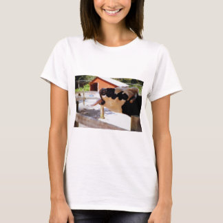 Die Kuh, die es haftet, ist Zunge heraus für T-Shirt