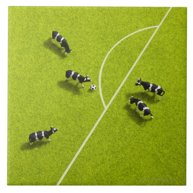 Die Kühe, die Fußball spielen Fliese (Vorderseite)