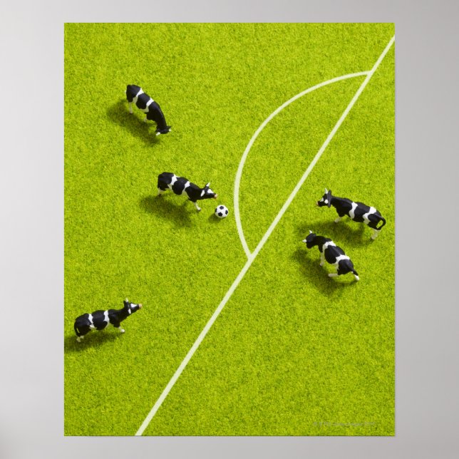 Die Kühe, die Fußball spielen Poster (Vorne)