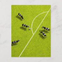 Die Kühe, die Fußball spielen