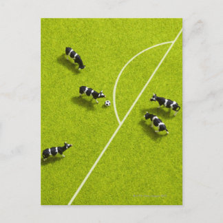 Die Kühe, die Fußball spielen Postkarte