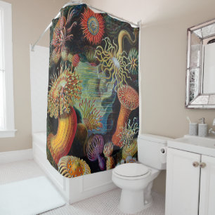 Die Kunst der Natur durch Ernst Haeckel Duschvorhang
