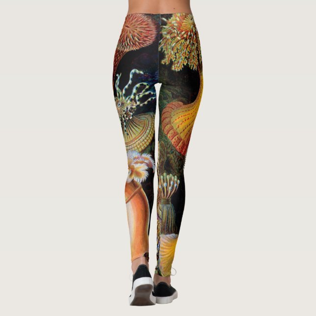Die Kunst der Natur durch Ernst Haeckel Leggings (Rückseite)