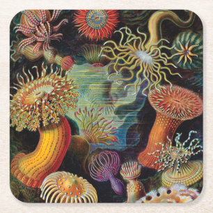die Kunst der Natur durch Ernst Haeckel Rechteckiger Pappuntersetzer