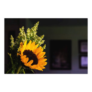 Die Kunst der Natur Fotodruck