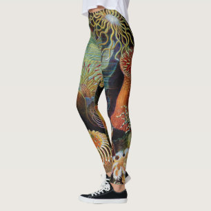 Die Kunst der Natur von Ernst Haeckel Leggings