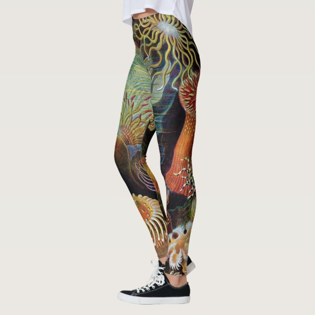 Die Kunst der Natur von Ernst Haeckel Leggings (Links)