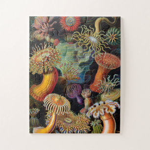 Die Kunst der Natur von Ernst Haeckel Puzzle