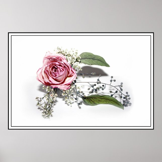 Die Kunst des Alterns glänzend - eine rosa Rose Poster (Vorne)