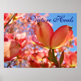 Die Kunst des Naturheils druckt Blau Himmel Blumen Poster
