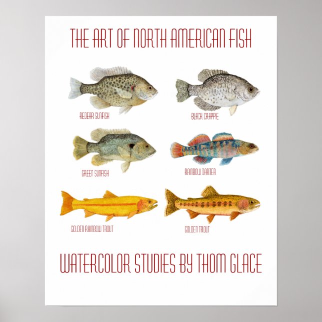 Die Kunst des nordamerikanischen Fisches Poster (Vorne)