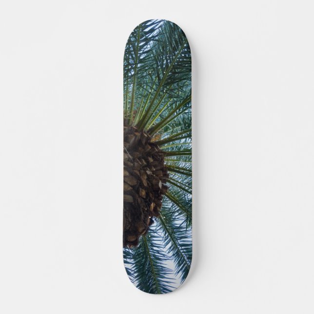 Die Kunst des Palmenbaumes Skateboard (Vorne)