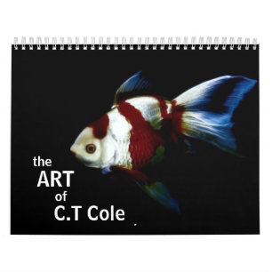Die Kunst von C.T Cole - ein Jahr von Fotografie Kalender