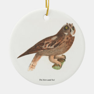 Die Kurze Eule (Otus palustris) New York Bird Keramik Ornament