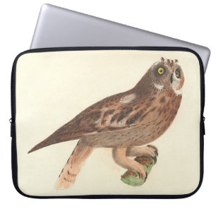 Die Kurze Eule (Otus palustris) New York Bird Laptopschutzhülle