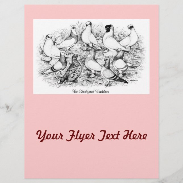 Die Kurzen Tumbler Flyer (Vorne)