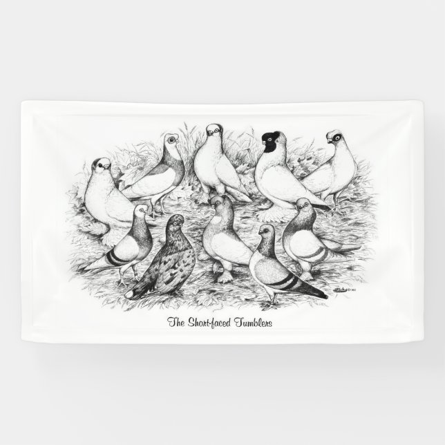 Die Kurzen Tumbler-Tauben Banner (Horizontal)