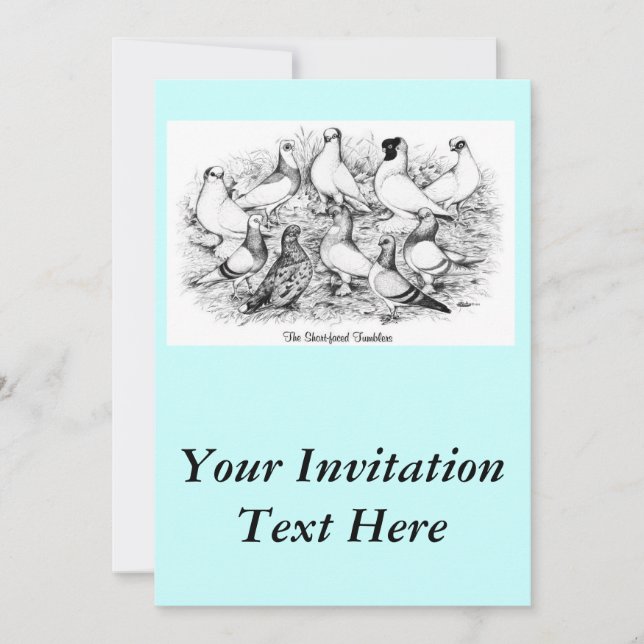 Die Kurzen Tumbler-Tauben Einladung (Vorderseite)