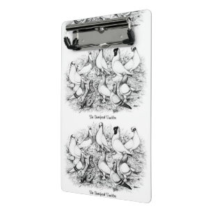 Die Kurzen Tumbler-Tauben Mini Klemmbrett