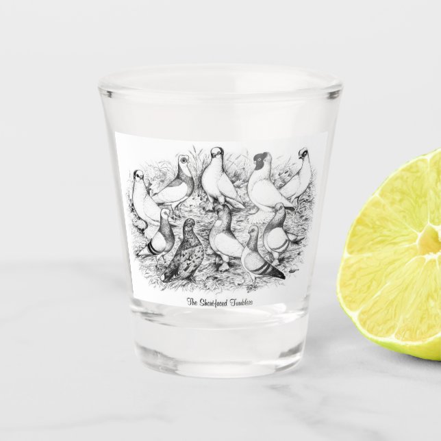 Die Kurzen Tumbler-Tauben Schnapsglas (Vorderseite)