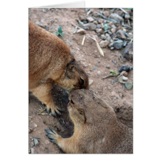 Die Kuss-Karte Karte-Fertigen es besonders an!