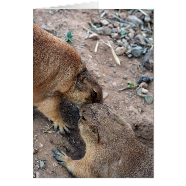 Die Kuss-Karte Karte-Fertigen es besonders an! (Vorne)