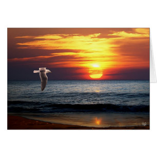 Die Küste entlangfahren