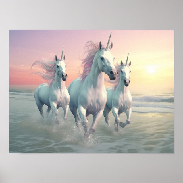 Die Küste von Valdahar Poster (Vorne)