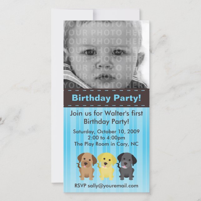 Die Labradors Blue Birthday Einladung (Vorderseite)