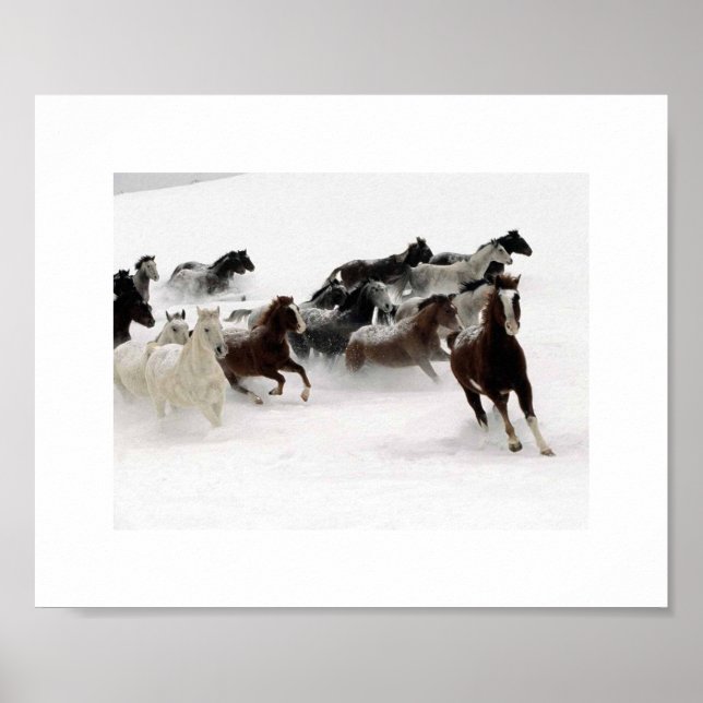 Die Ladung der Pferde. Poster (Vorne)