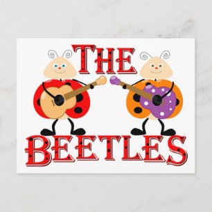 Die Ladybugs Postkarte