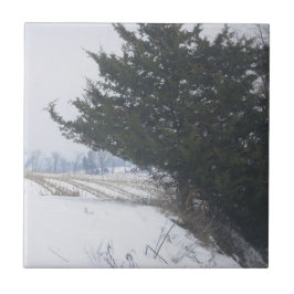 "Die Landwirtschaft" Fliese