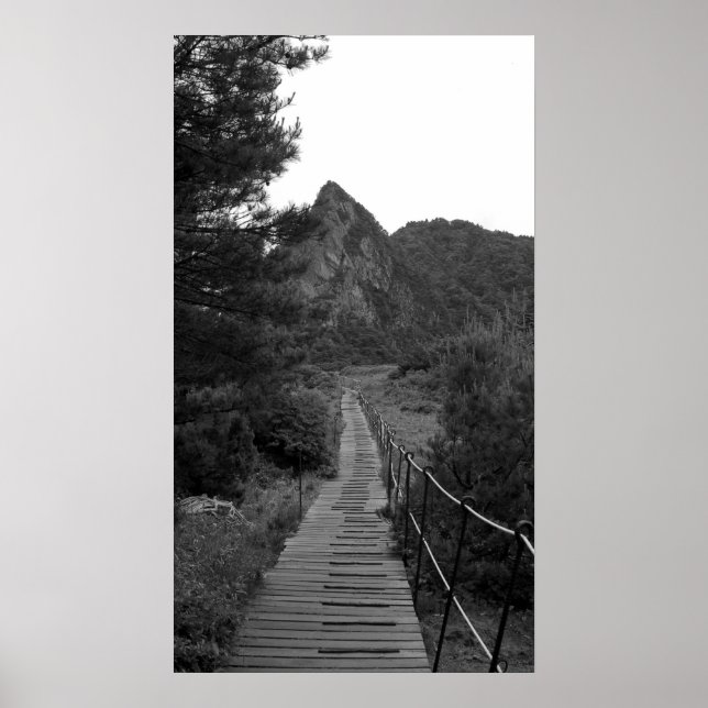 Die lange Reise Poster (Vorne)