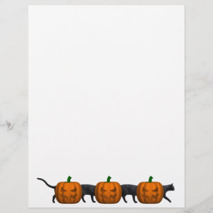 Die längste Katze der Welt