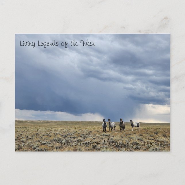 Die lebendige Legende des Westens - Postkarte (Vorderseite)