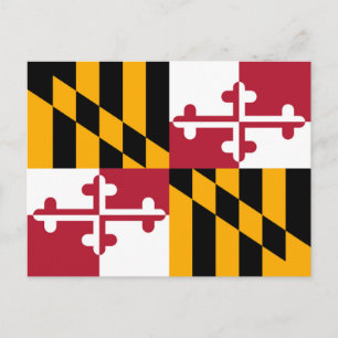 Die lebendige Maryland-Staatsflagge Postkarte