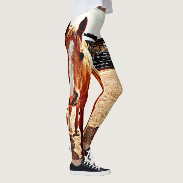 Die Leggings der Palomino-Pferdefrauen (Rechts)