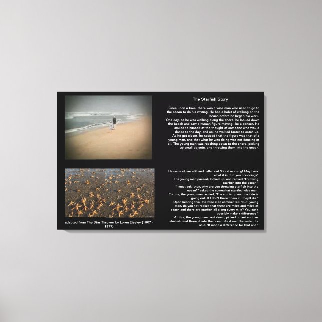 Die Leinwand der Sternenflotte (Vorderseite)