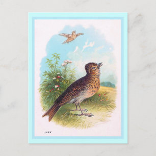 "Die Lerche" Vintage-Illustration Postkarte