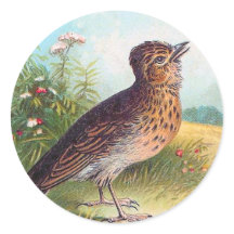 "Die Lerche" Vintage-Illustration