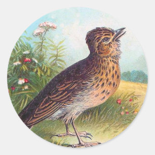 "Die Lerche" Vintage-Illustration Runder Aufkleber