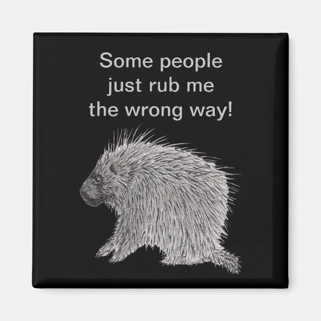 Die Leute machen mir den falschen Weg Porcupine Magnet (Vorne)