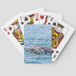Die Liebe-Delphin der Mutter u. Baby-Spielkarten Spielkarten