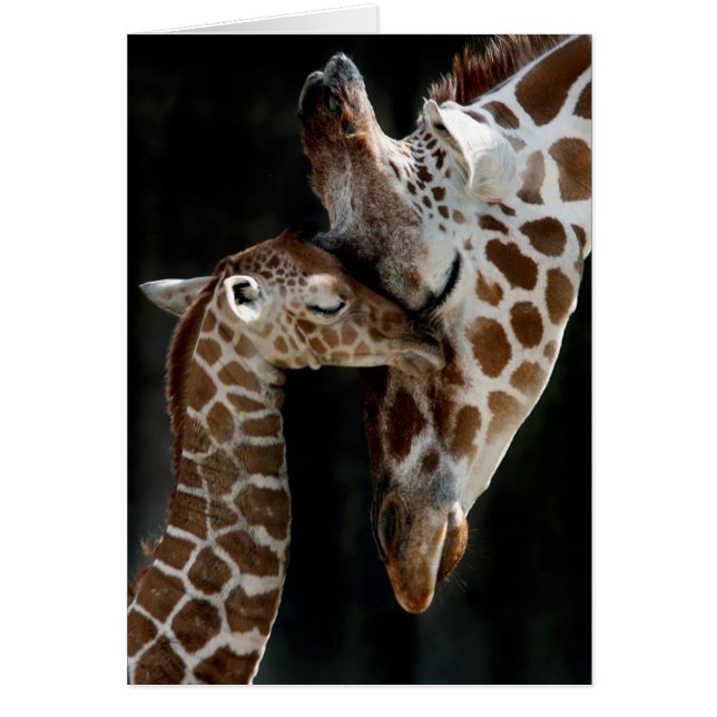 Die Liebe einer Mutter (Vorne)