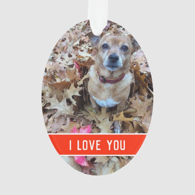 die Liebe eines Hundes Ornament (Rückseite)