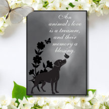 Die Liebe eines Tieres ist ein Schatz – Hunde-Symp