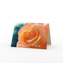 Die Liebe meines Lebens