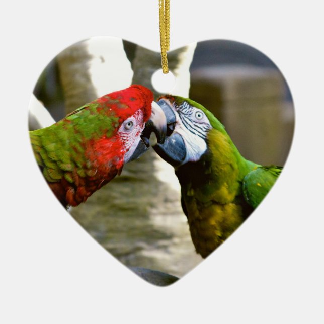 Die Liebe-Vögel, die Macaw küssen, plappert Keramikornament (Vorne)