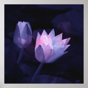 Die Liebe von Lilien.... Poster